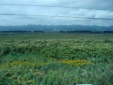 20070830_080_thumb.jpg