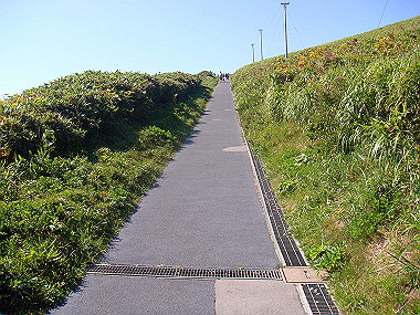 20070830_210_thumb.jpg
