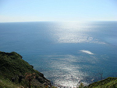 20070830_290_thumb.jpg