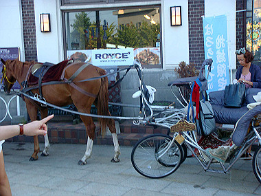 20070830_600_thumb.jpg