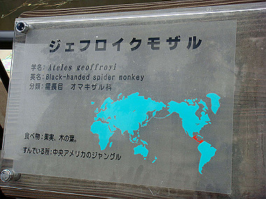 20070831_125_thumb.jpg