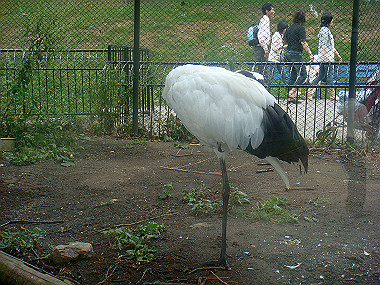 20070831_155_thumb.jpg