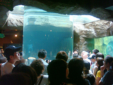 20070831_205_thumb.jpg