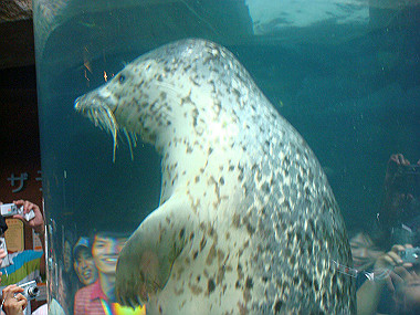 20070831_230_thumb.jpg