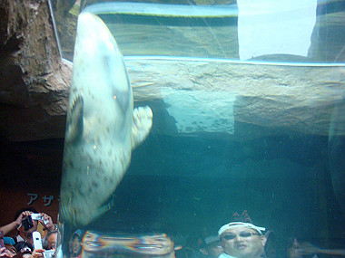20070831_235_thumb.jpg