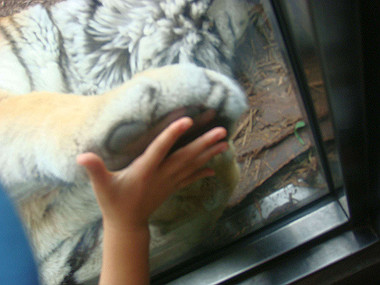 20070831_295_thumb.jpg