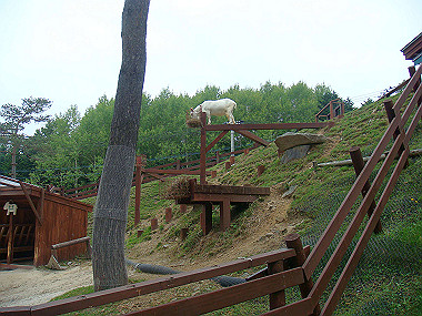 20070831_385_thumb.jpg