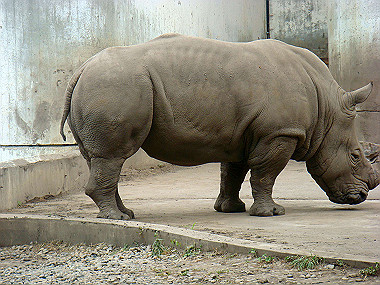 20070831_435_thumb.jpg