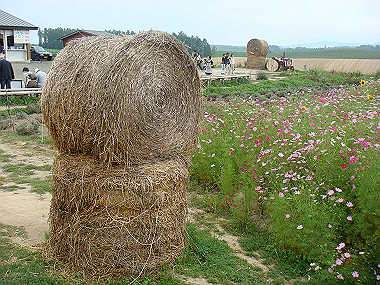 20070831_500_thumb.jpg