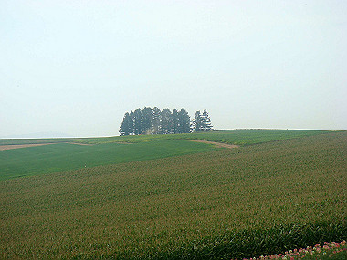 20070831_505_thumb.jpg