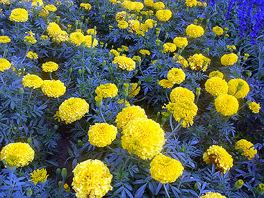 20070831_570_thumb.jpg