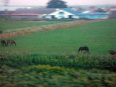 20070831_720_thumb.jpg