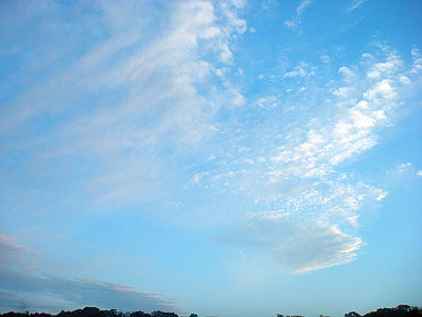 20070831_745_thumb.jpg