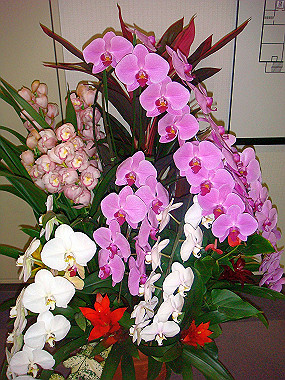20071117dsc03084_150_thumb.jpg