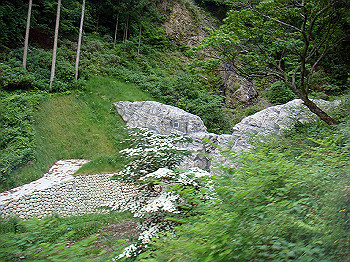 20070617_060_thumb.jpg