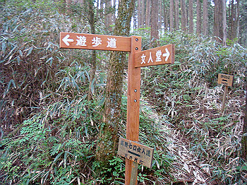 20070617_240_thumb.jpg