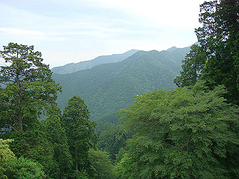 20070617_360_thumb.jpg