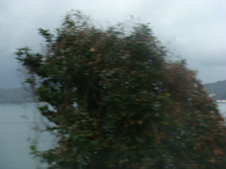 20071229_180_thumb.jpg