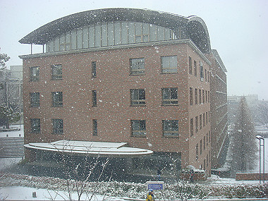 20080209_025_thumb.jpg