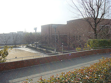 20080213_010_thumb.jpg