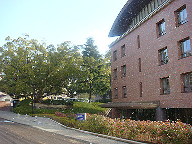 20080213_020_thumb.jpg