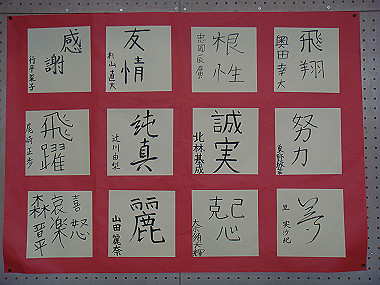 20080313_030_thumb.jpg