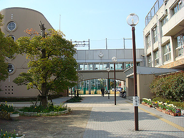 20080405_050_thumb.jpg