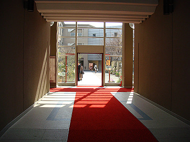 20080405_060_thumb.jpg
