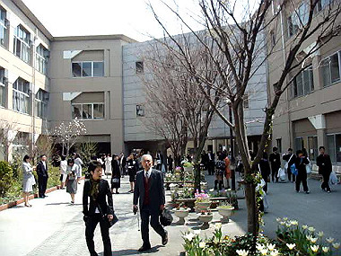 20080405_300_thumb.jpg