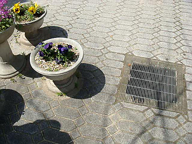 20080405_310_thumb.jpg
