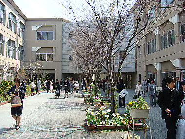 20080405_320_thumb.jpg