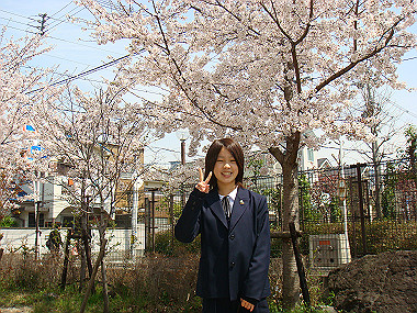 20080405_400_thumb.jpg