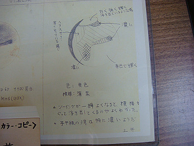 20080405_550_thumb.jpg