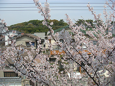 20080405_670_thumb.jpg