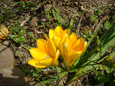 20080412_020_thumb.jpg