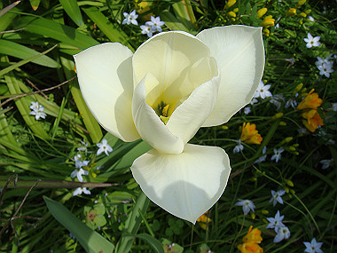 20080412_070_thumb.jpg