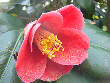 20080412_140_thumb.jpg
