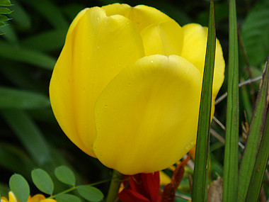 20080420_110_thumb.jpg