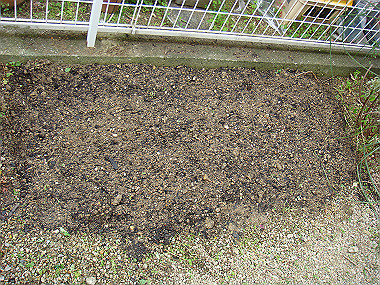20080420_330_thumb.jpg