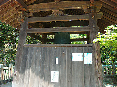 20080503_0050_thumb.jpg