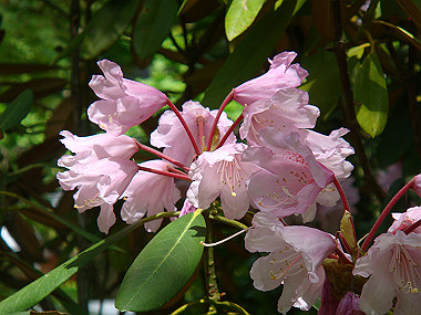 20080503_0140_thumb.jpg