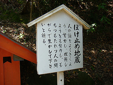20080503_0210_thumb.jpg