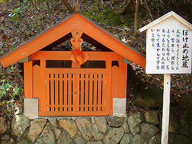 20080503_0220_thumb.jpg