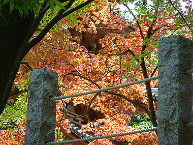 20080503_0230_thumb.jpg