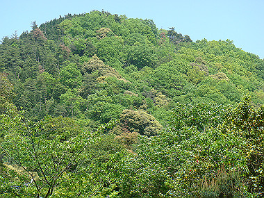 20080503_0250_thumb.jpg