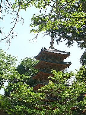 20080503_0450_thumb.jpg