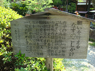 20080503_0460_thumb.jpg