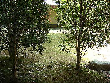 20080503_0520_thumb.jpg