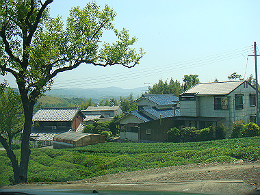 20080503_0550_thumb.jpg