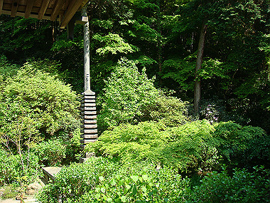 20080503_0690_thumb.jpg